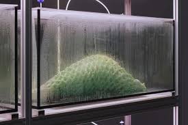 انقلاب بیولوژیک در معماری: وقتی دیوار خانه شما «نفس» می‌کشد!